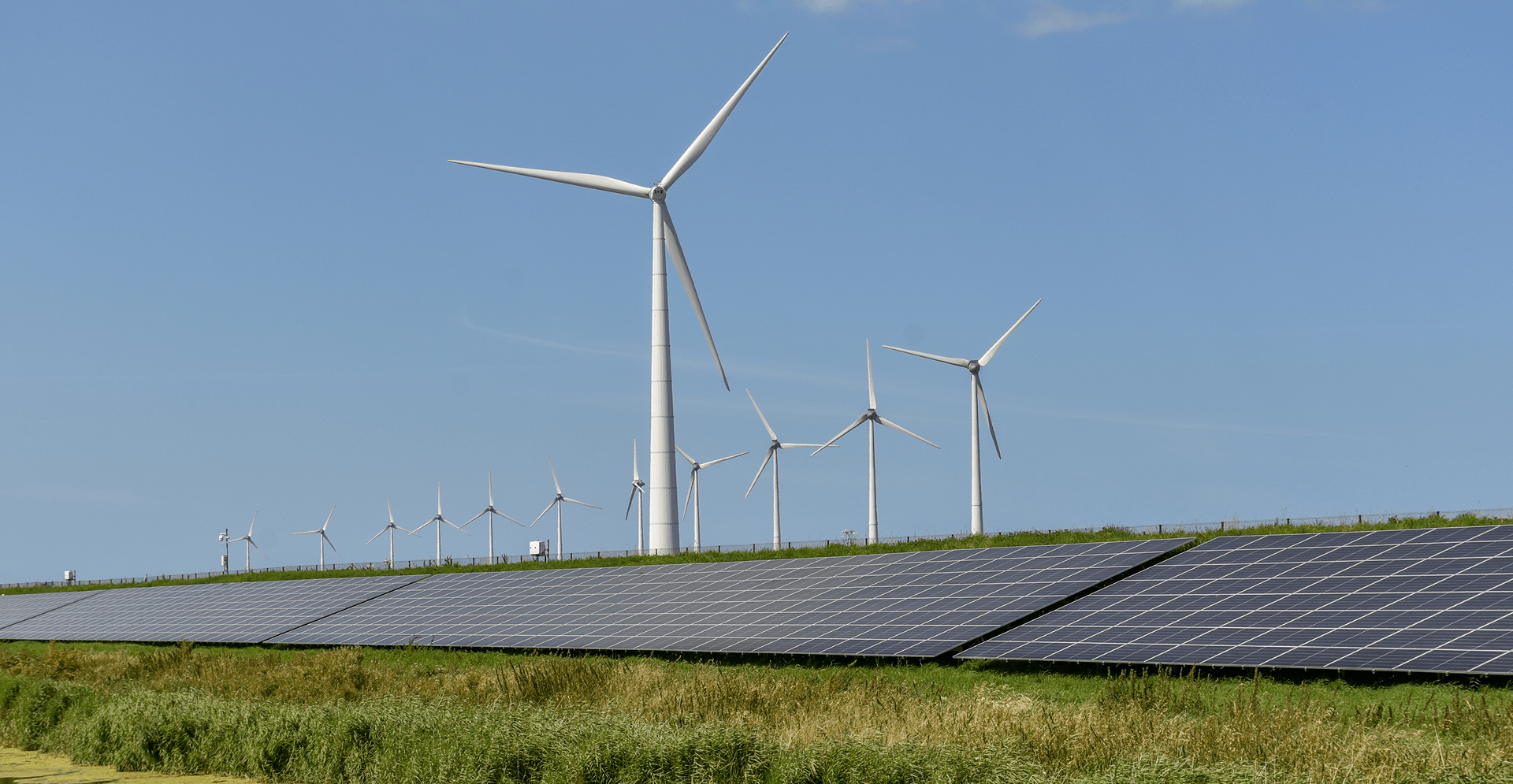 Solar panels aligned in a row on a lush green field, harnessing sunlight for energy.